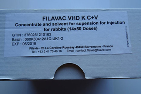 Filavac