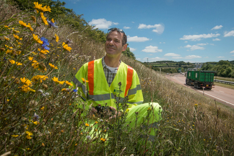 Image of worker in grassland