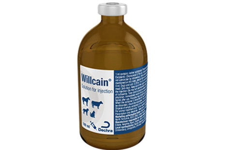 willcain