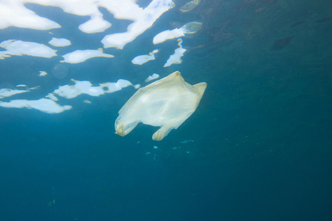 Carrier bag floating in water
