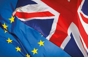 The future relationship between the United Kingdom and the European Union
