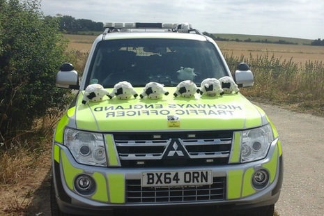 Image showing Highways England Traffic Officer vehicle with toy cows on the bonnet