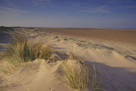 Sand dunes and beach at Saltfleetby, Lincolnshire