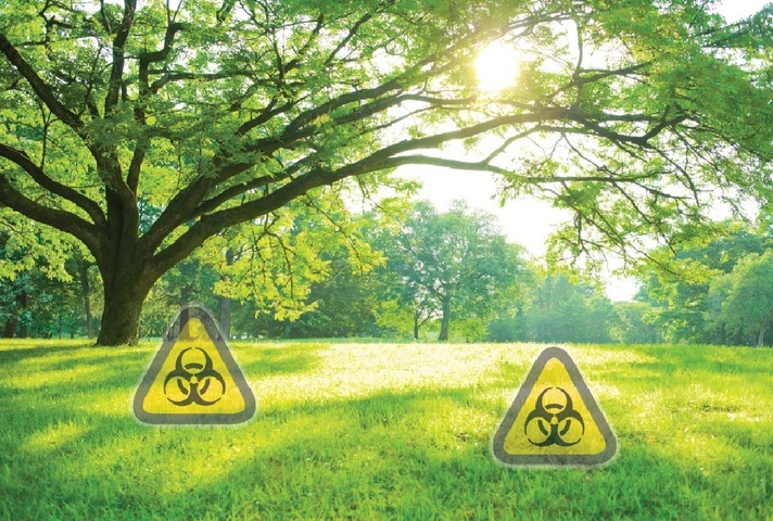 Biosensing across wide areas