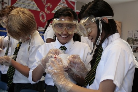 Pupils in science lesson