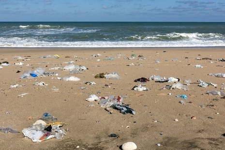 litter