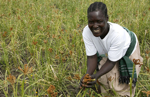 agriculture
