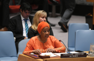 UN Security Council briefing on Somalia (UN Photo)