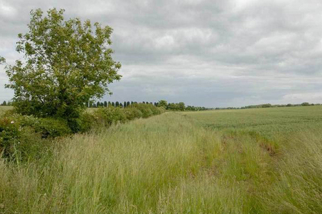 Agriculture Bill - green field