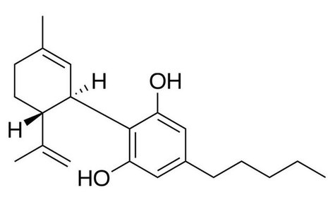 Veterinary medicinal products containing Cannabidiol