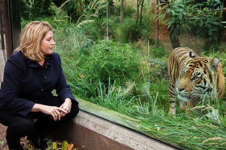 Picture: Michael Hughes/DFID