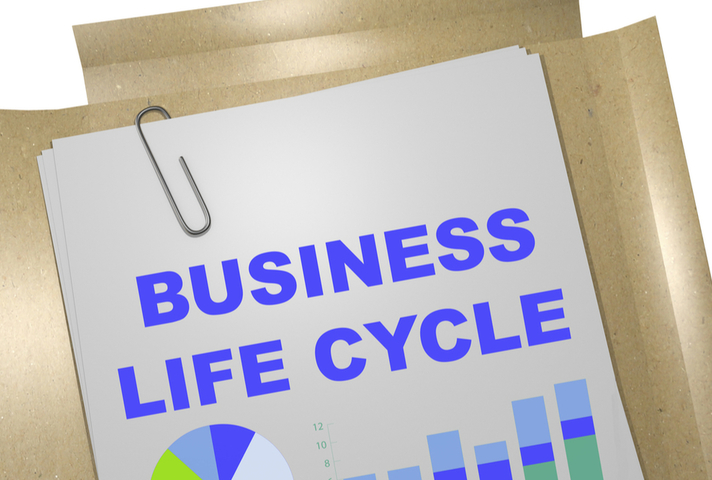 Paper report with title Business Lifecycle
