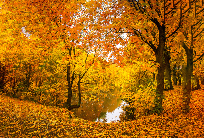 Autumn landscape