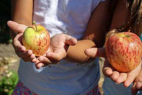 Children eating apples