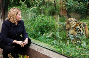 International Development Secretary Penny Mordaunt with a Sumatran Tiger at London Zoo.