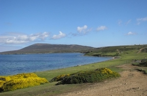 Falklands competition
