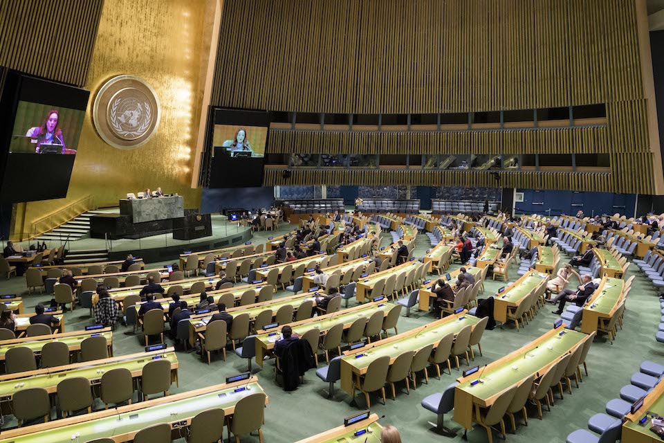 UN General Assembly (UN Photo)