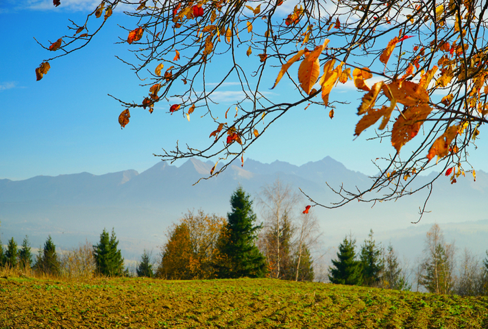 Autumn landscape