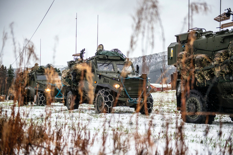 UK foxhounds in Norway.