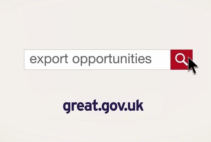 An infographic showing the export opportunities website.