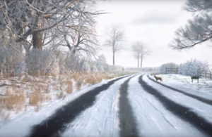 Image from a hazard perception test video clip, showing a road covered in snow, with a deer stood at the side of the road