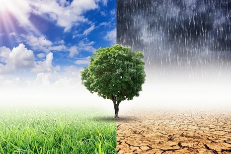 GAD comment - Climate change