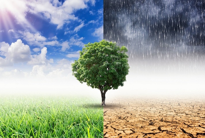 GAD comment - Climate change