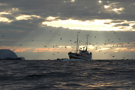 fishing boat at sea