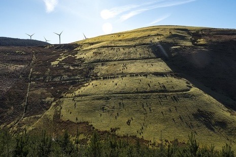 Former colliery spoil tip