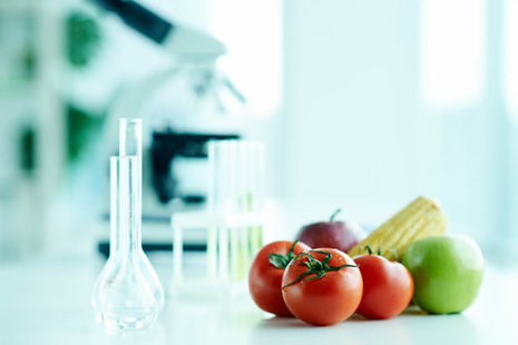 Vegetables in a laboratory