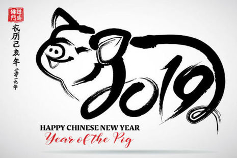 Happy New Year of the Pig