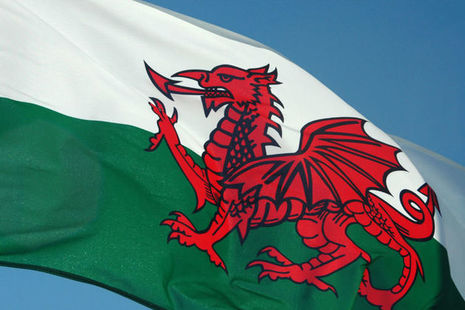 Image of Welsh flag