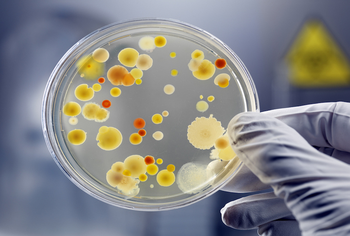 Scientist holding petri dish