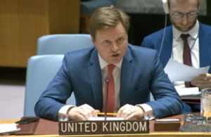 UN Security Council