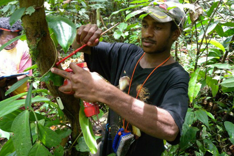 Collecting data in the rainforest