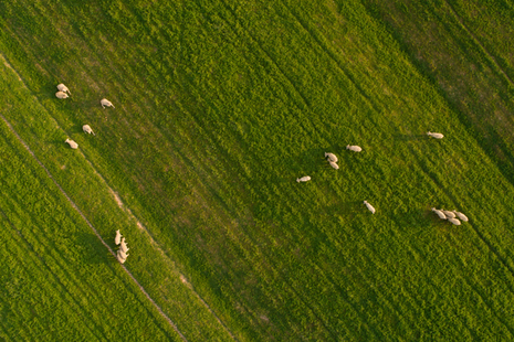 An aerial view of a farm.