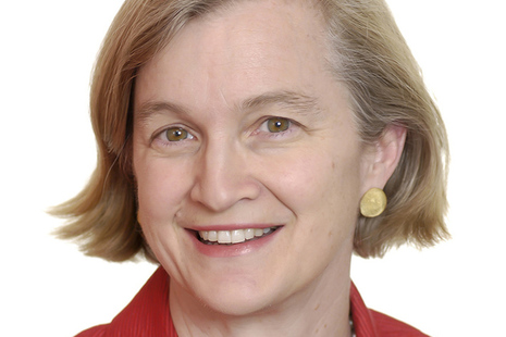 Amanda Spielman, HMCI