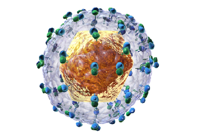 Hepatitis C virus