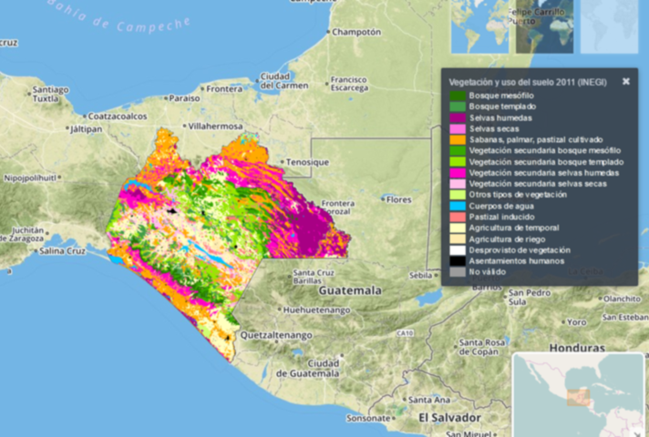 Ecometrica forest monitoring systems using satellite image
