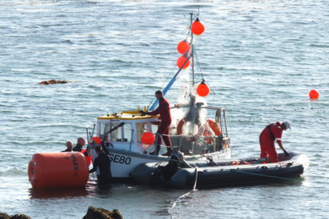 Recovery of fishing vessel Laura Jane