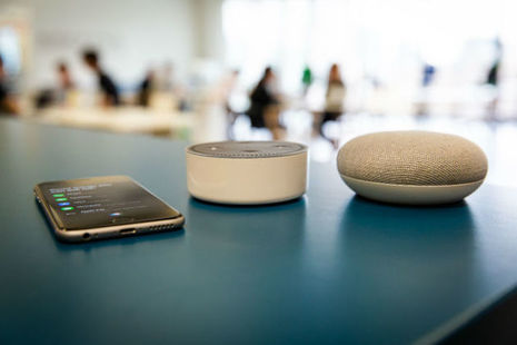 Voice assistant devices