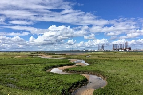 Stream flowing through salt marsh towards Tees Estuary