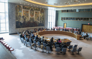 UN Security Council (UN Photo)