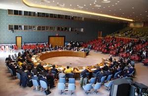 UN Security Council