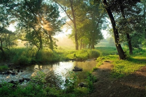 A river running through trees with sun shining through the trees and on the surface of the river