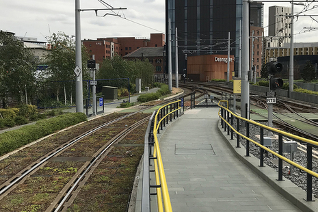 Image looking from Deansgate-Castlefields toward St Peter’s Square: a tram passed the signal to the right when it was showing a stop aspect, another tram approached the converging junction from the left.