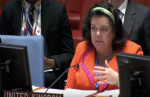 UN Security Council