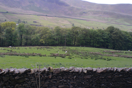 Knipe's Farm view - Stone wall fields and hills