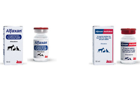 Alfaxan