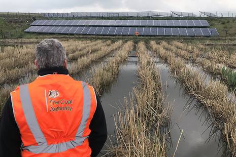 Inspecting the reeds at Deerplay mine water treatment scheme.